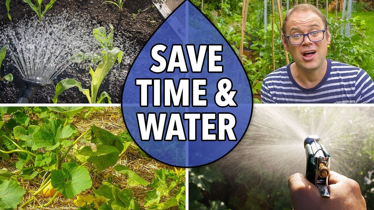 Pailler pour gagner du temps et de l'eau dans votre jardin