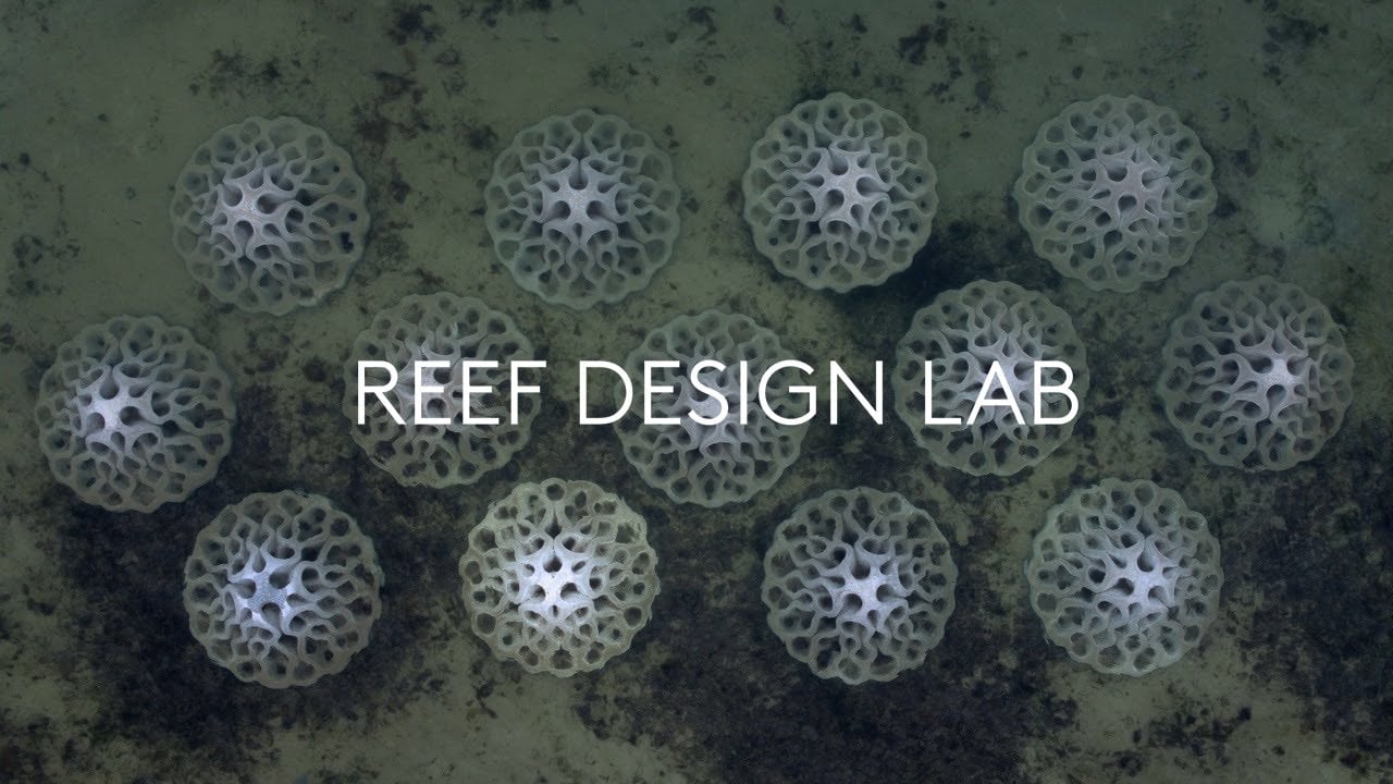 Reef Design Lab - EMU (Erosion Mitigation Units) Difesa costiera e miglioramento dell'habitat marino