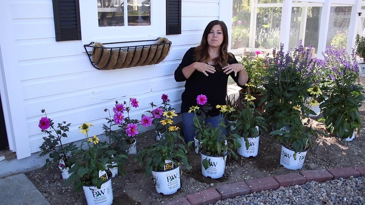 Let's Design a Pollinator Garden