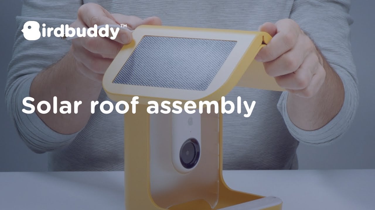 How-To: Assemble Your Solar Roof – Bird Buddy Tutorial