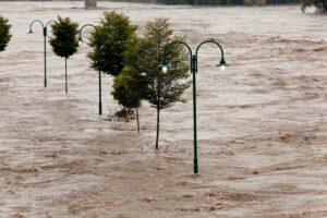 JAN 23 Urban Alternatives to Building an Ark