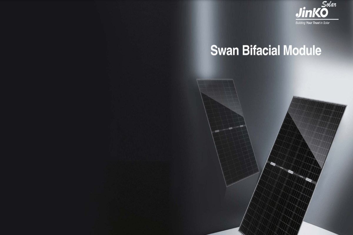 JAN 23 The Swan Bifacial Series