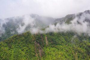 JAN23 What is Mixed-Humid Climate