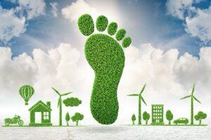 Carbon Offsetting