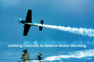 American Airlines' Climate Change Mitigation Strategies