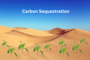 Converting deserts into carbon sequestration systems