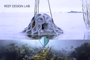 Reef Design Lab's Eco-Conscious Concrete Shells Safeguards Marine Habitats