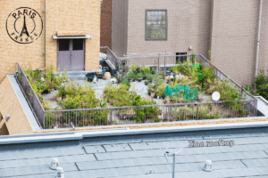 Roofscapes is turning zinc rooftops into gardens to fight rising temperatures
