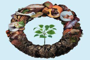What is Biodegradable