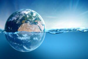 What is a Carbon Sink