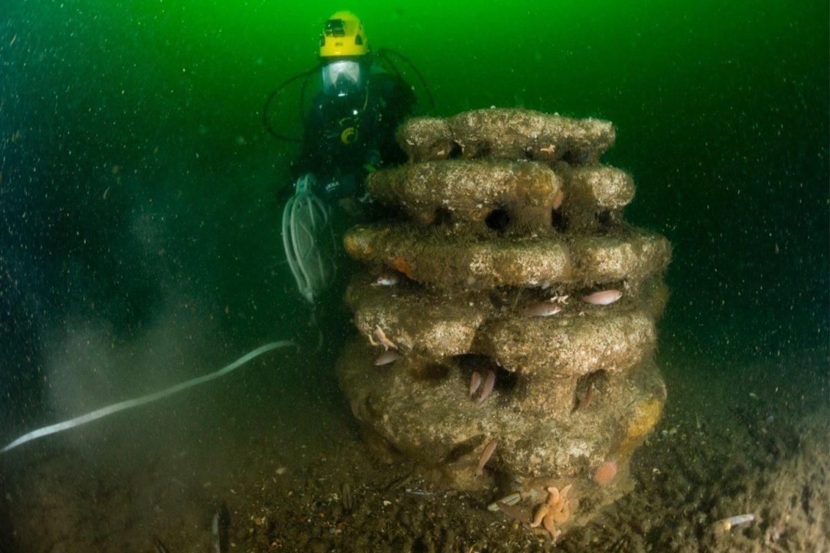 Reef Design Lab's Eco-Conscious Concrete Shells Safeguards Marine Habitats  - Energy Theory