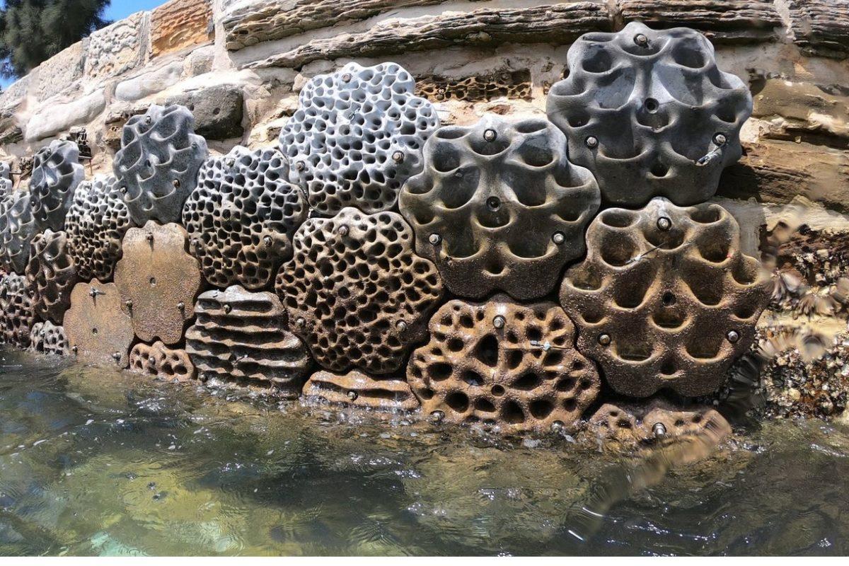 REEF DESIGN LAB  Artificial Reefs & Marine Infrastructure Solutions