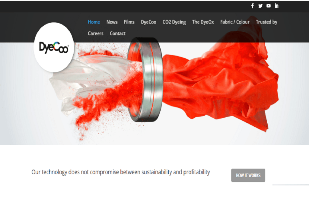 DyeCoo: Sustainable Clothing Startups