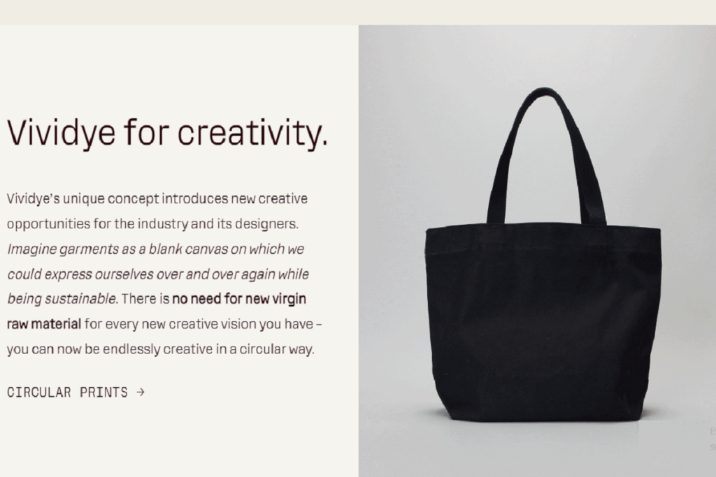 Vividye: Ethical Fashion Startups