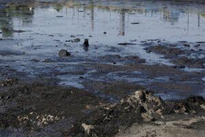 What is Covered Anaerobic Lagoon (CAL)