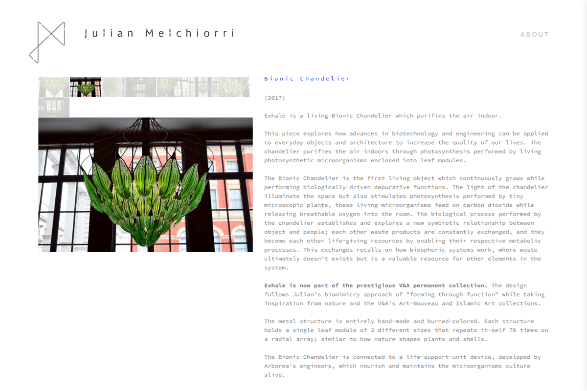 Bionic Chandelier: eco-friendly inventions for the future