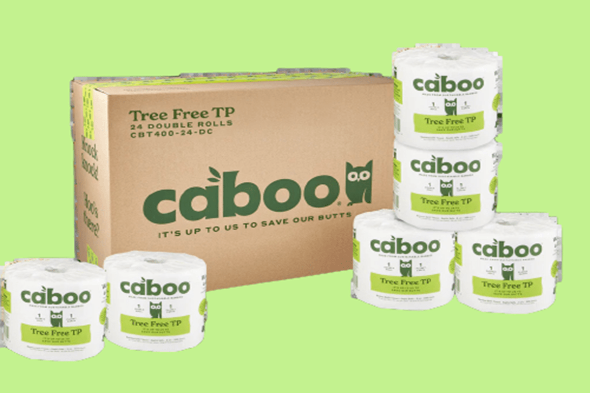 5 Best Sustainable Toilet Paper Brands, Including Bamboo & Recycled Paper