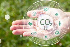 carbon positive