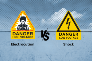 electrocution vs shock