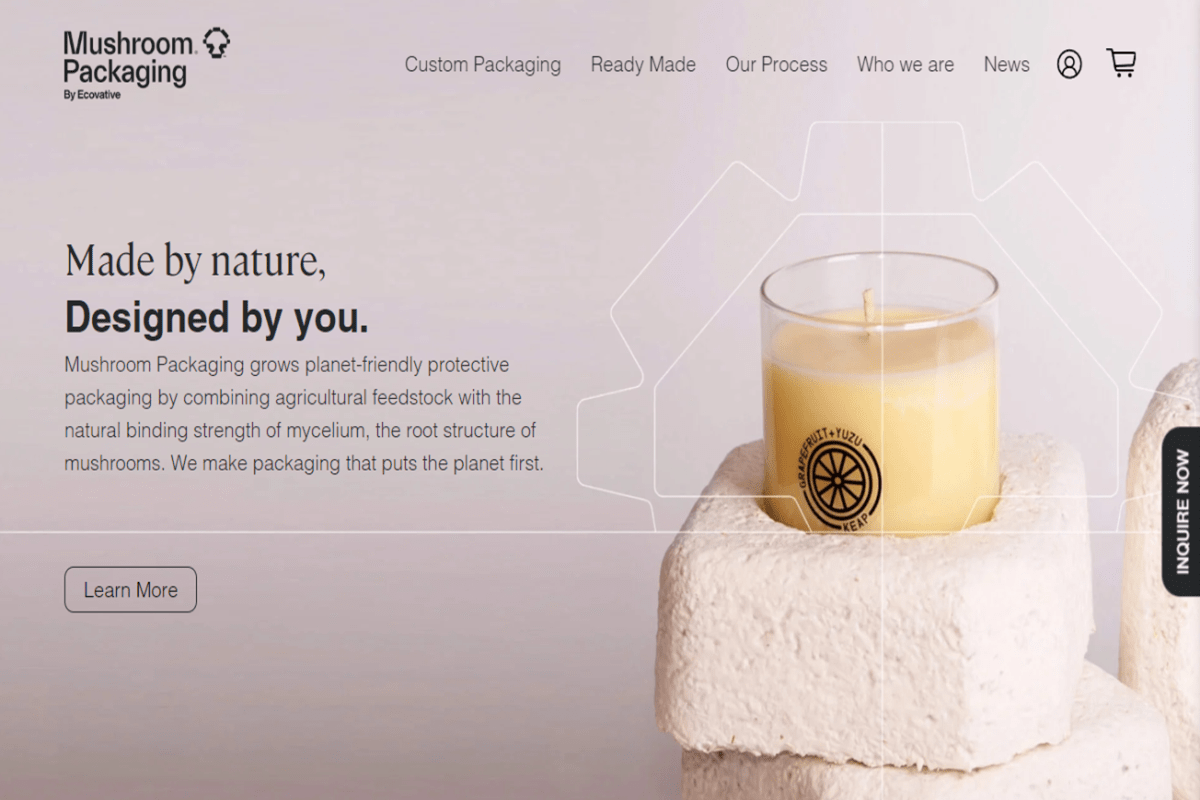 The Mushroom Packaging: best sustainable inventions