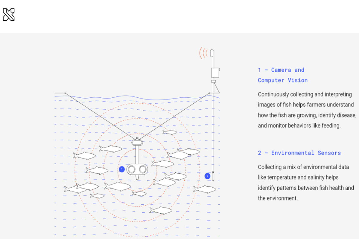 Tidal device illustration - Tidal X, Mowi and Cognizant's Vision for Sustainable Aquaculture