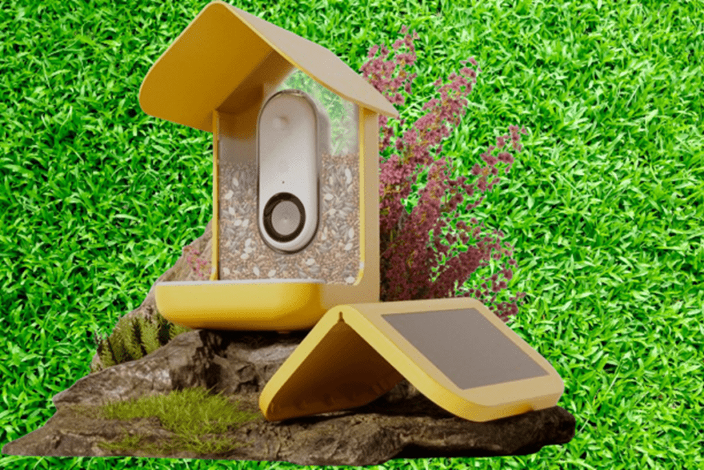Bird buddy is a smart solar powered bird feeder