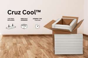 Eco-friendly chitin cool container by Cruz