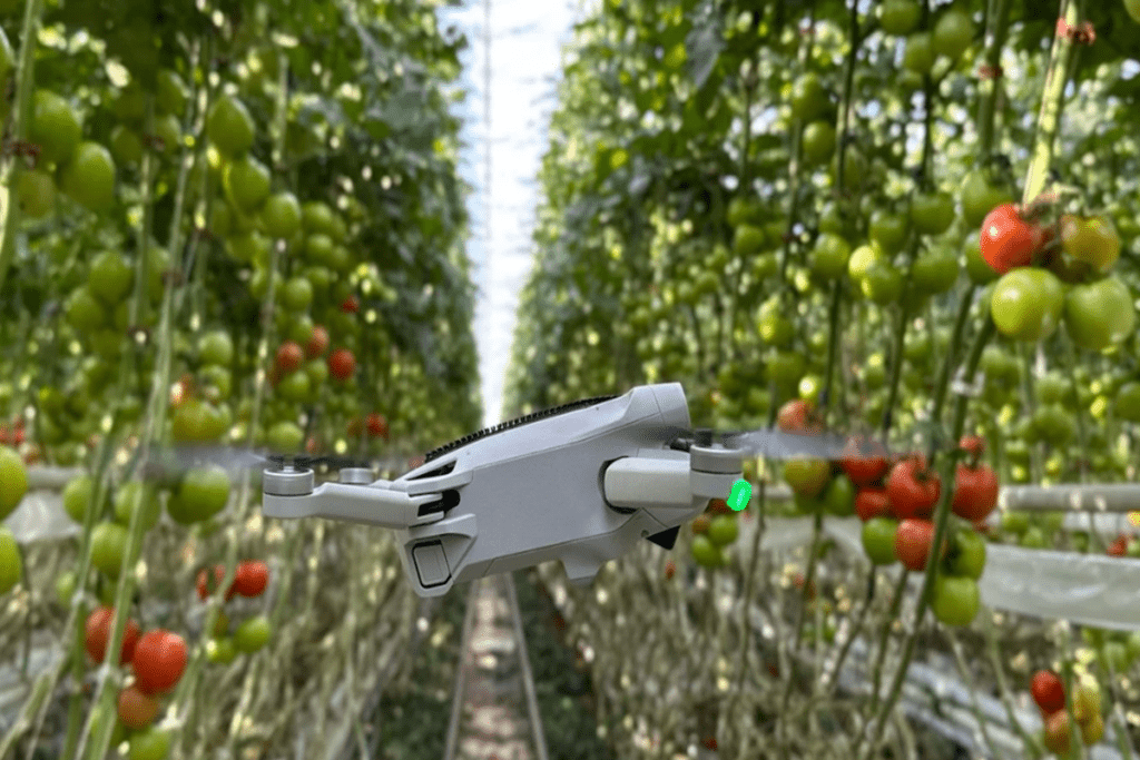 Most Eco-Friendly Inventions