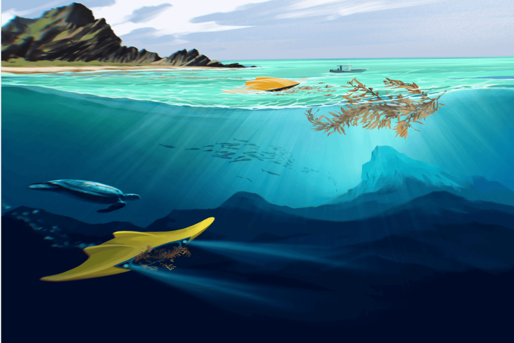 Seaweed Generation AlgaRay Greatest Inventions of 2023