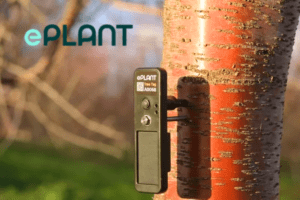 ePlant's AI-based TreeTags monitors plant growth