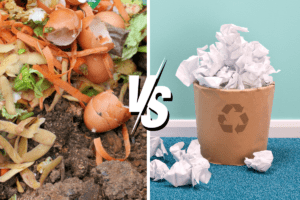 Examples of wet waste and dry waste