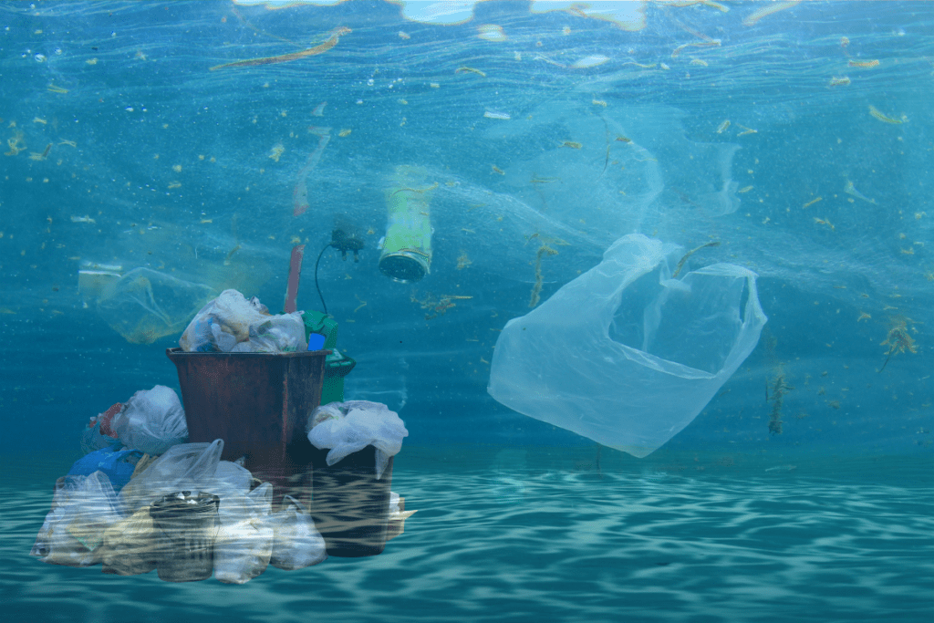 How Much Plastic is in the Ocean: 80+ Startling Facts Effects of plastic pollution on environment