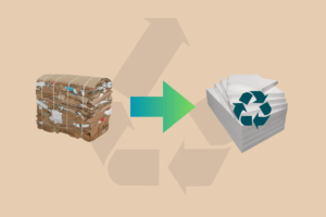 Sustainable foam and cardboard waste can revolutionize packaging materials