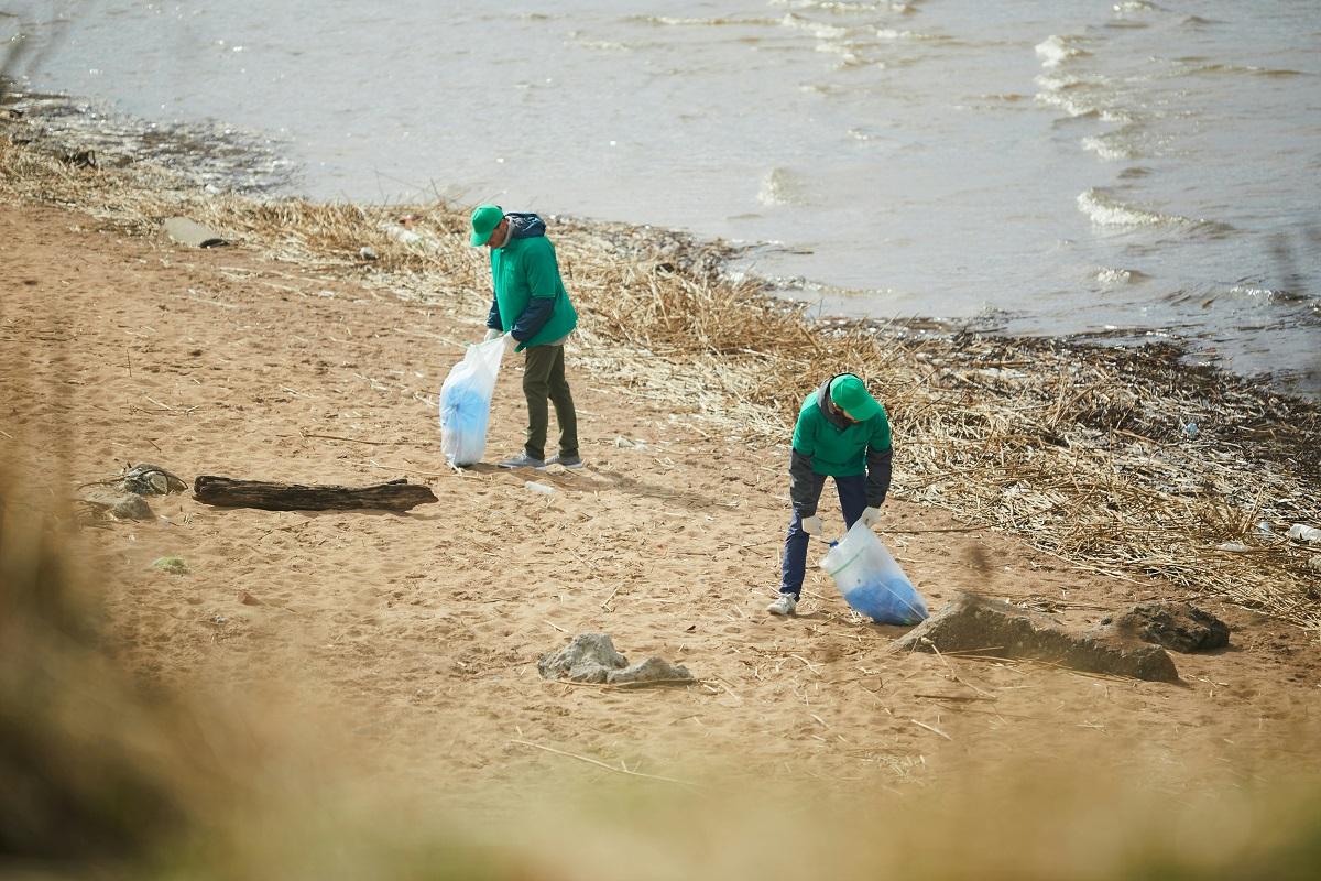 Types, causes et solutions de la pollution plastique - Théorie énergétique