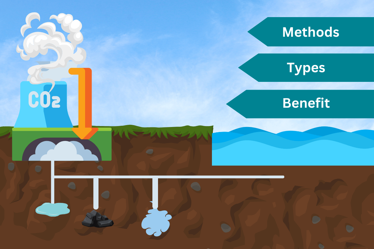 Carbon Sequestration Benefits, types and methods