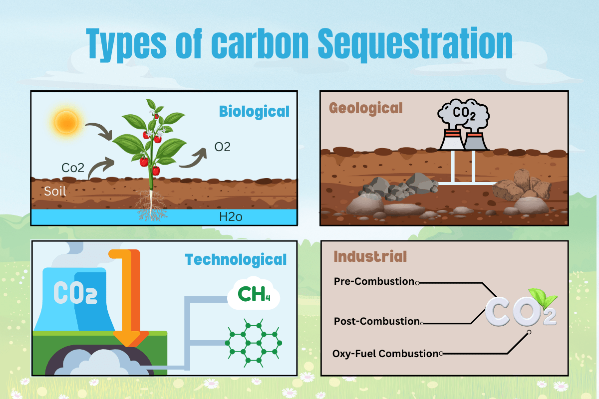 importance and types of carbon sequestration