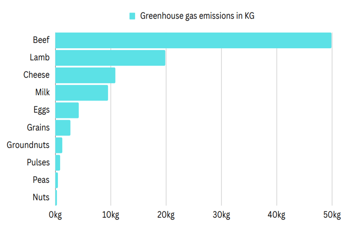 Greenhouse gas emissions_sustainable food important