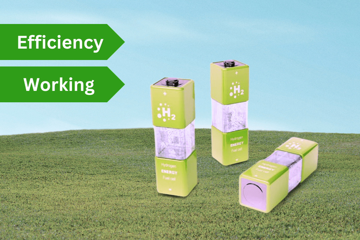 Hydrogen Fuel Cells Explained: Efficiency and Working Hydrogen Fuel Cells Explained – Efficiency and Working 1