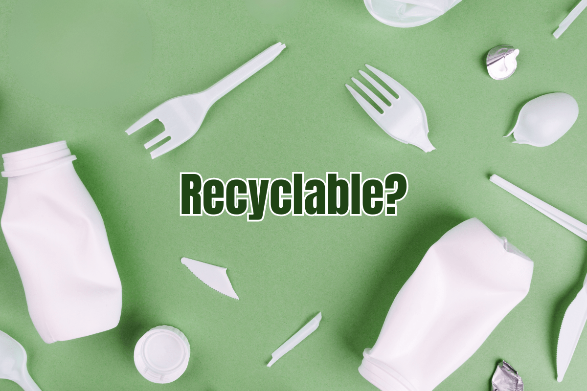 Which Plastics Can or Cannot be Recycled? which plastic can be recycled 1